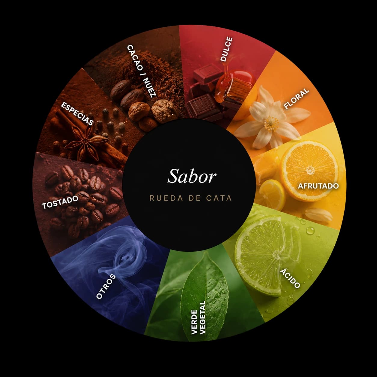 Rueda de cata de sabores del café: familias de aroma —dulce, floral, afrutado, ácido, vegetal, tostado, especias y cacao— ilustradas con ingredientes reales.